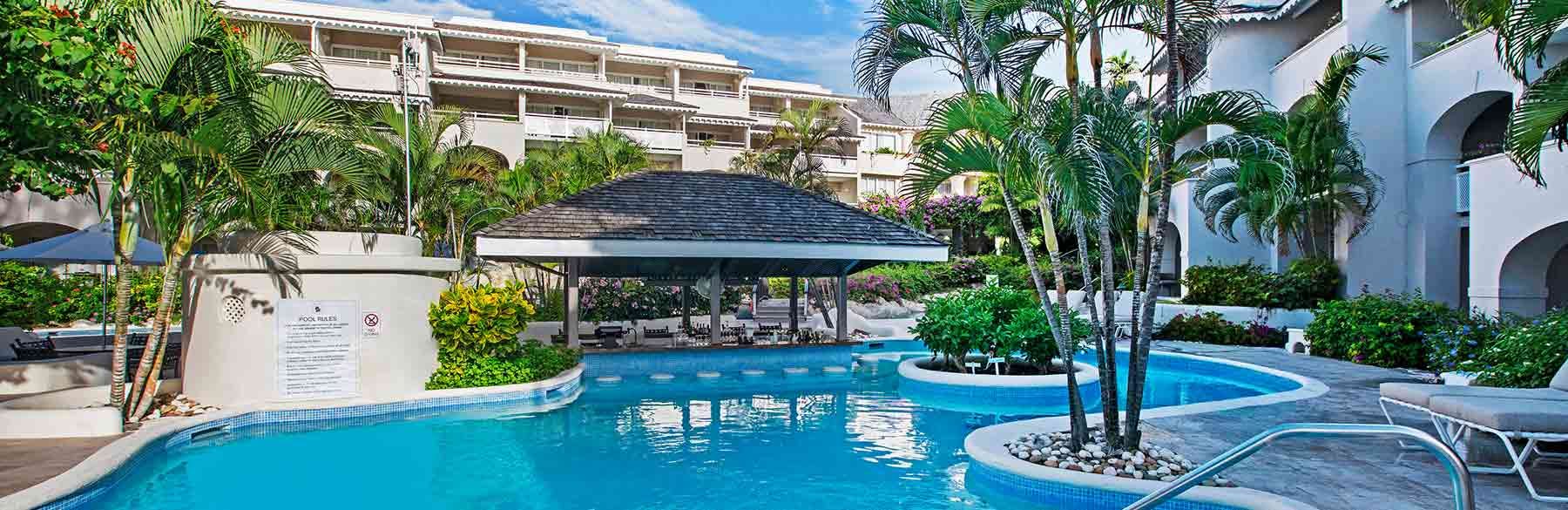 Bougainvillea Barbados